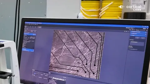 NBA昨日4胜3负 五连败后两连败谁将反弹